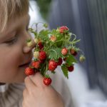 Что для лютеранина важнее: благочестие или каноны?