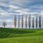 Рукоположение пастора самой общиной в лютеранской традиции: что это и почему?